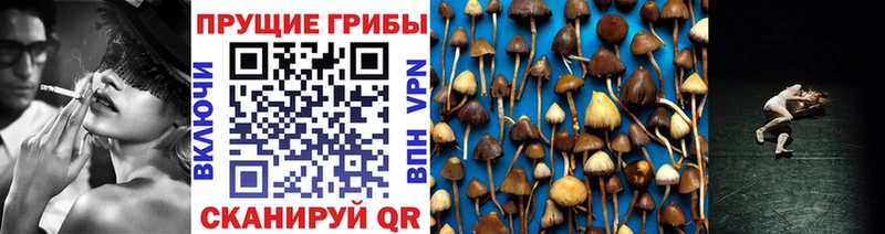 Галлюциногенные грибы Cubensis  Берёзовский 